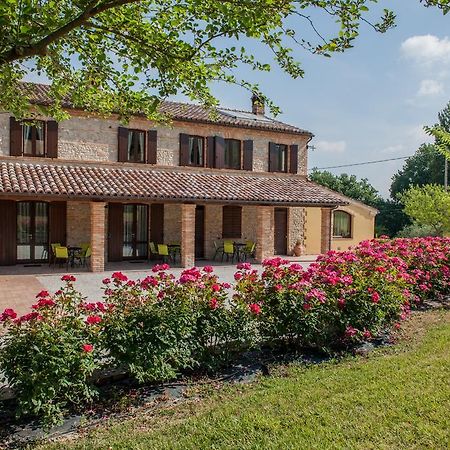 Agriturismo La Vecchia Fonte Castelbellino Exteriér fotografie