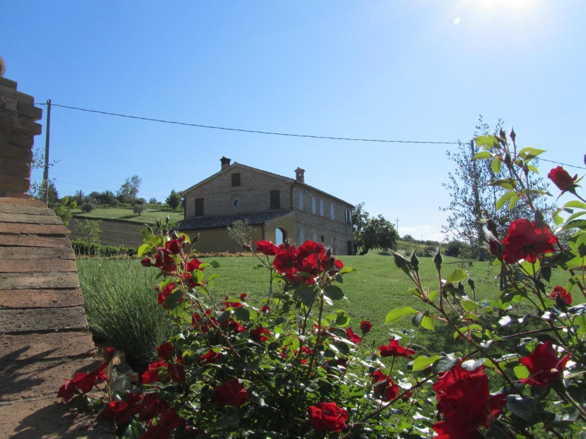 Agriturismo La Vecchia Fonte Castelbellino Exteriér fotografie