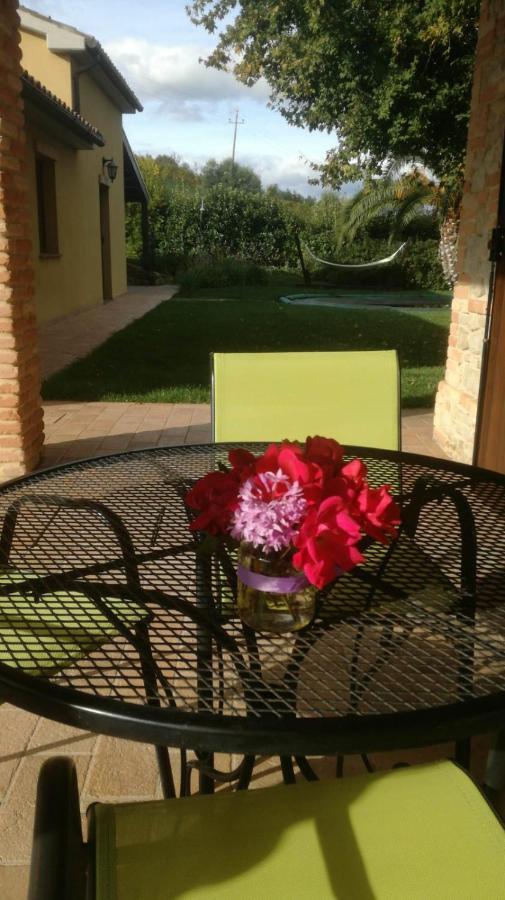 Agriturismo La Vecchia Fonte Castelbellino Exteriér fotografie
