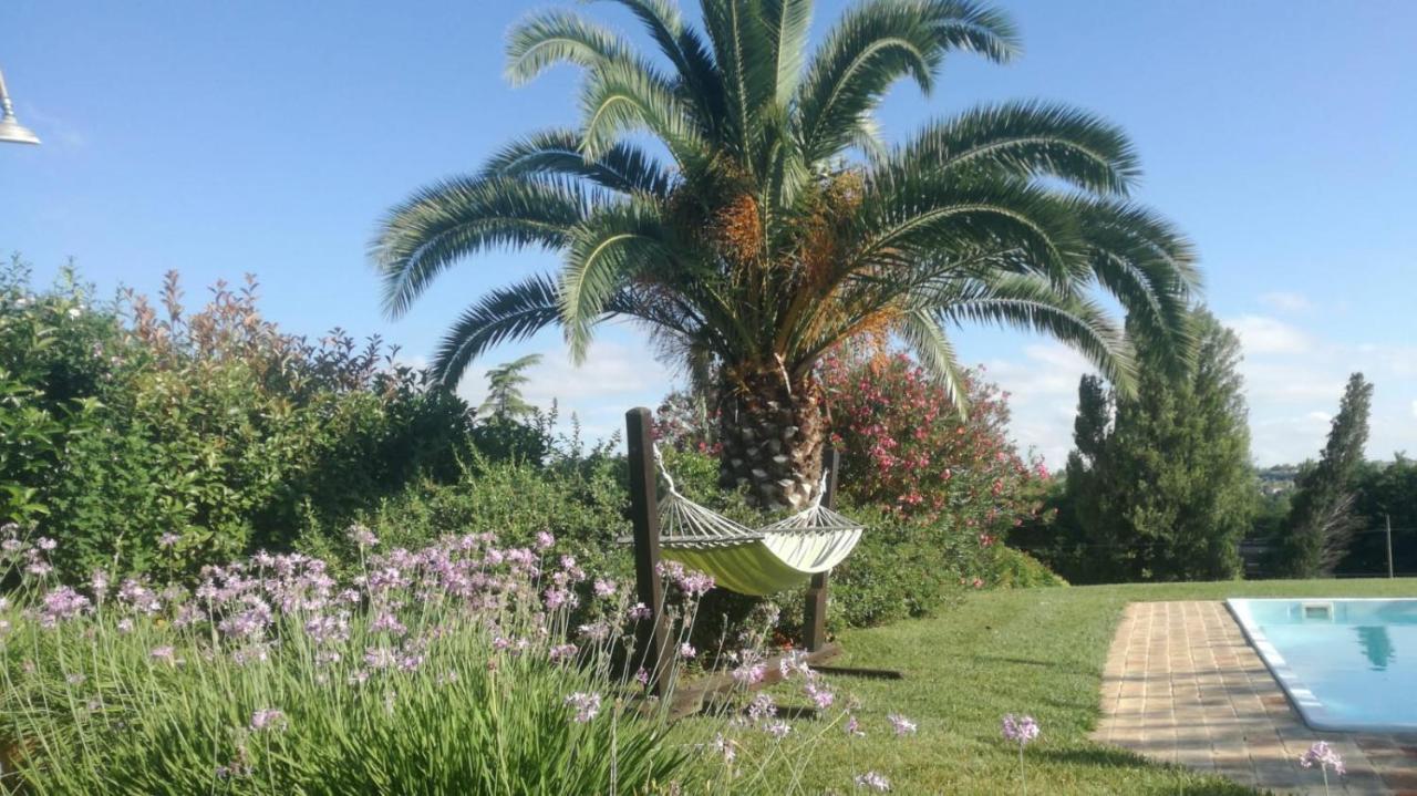 Agriturismo La Vecchia Fonte Castelbellino Exteriér fotografie